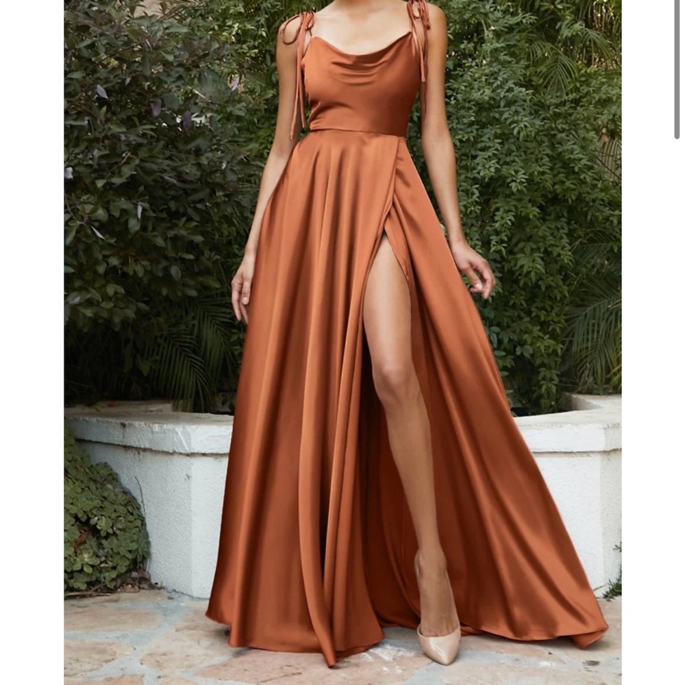 Brand New Ladivine BD104 Dress in Sienna